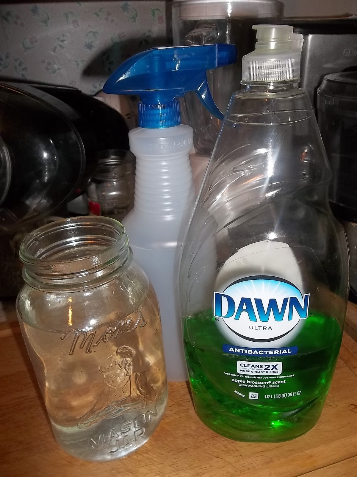 Purty Girl Musings Fruit Tree Spray