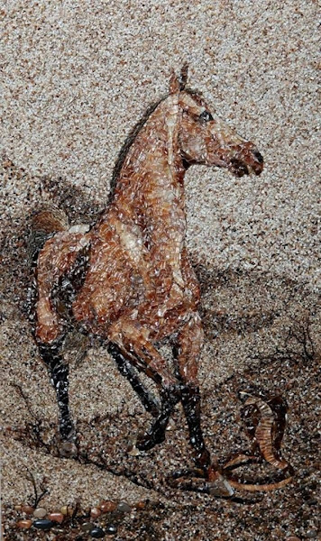 Creative Mosaics of Sand and Shells