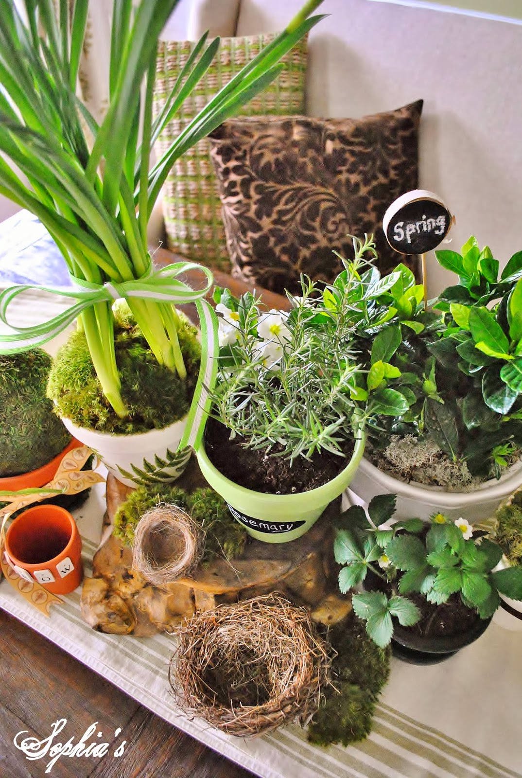 Sophia's DIY Spring Clay Pots & Michaels Pinterest Party