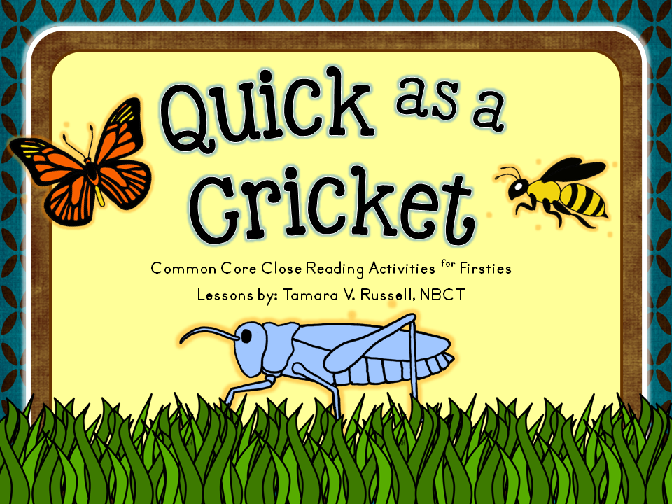 cricket quick pay page cricket quick pay page