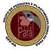 Grupo de pesquisa e plastimodelismo do Pará