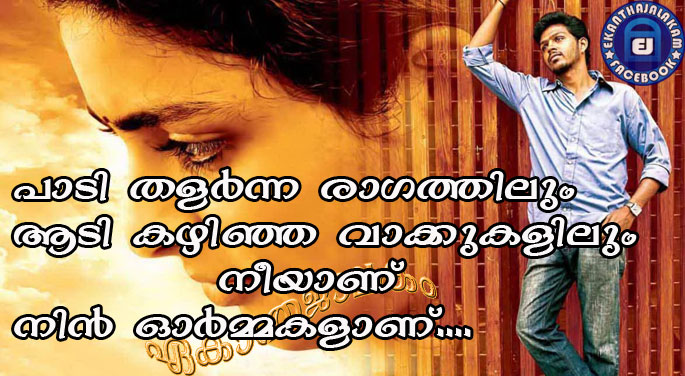 Lovely Quotes For You: I feel you