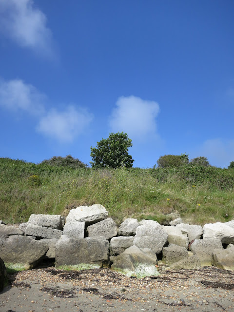 Tree on a cliff, with rocks in front to defend against erosion by the sea.