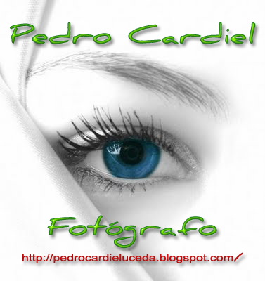 Pedro-Cardiel-Uceda