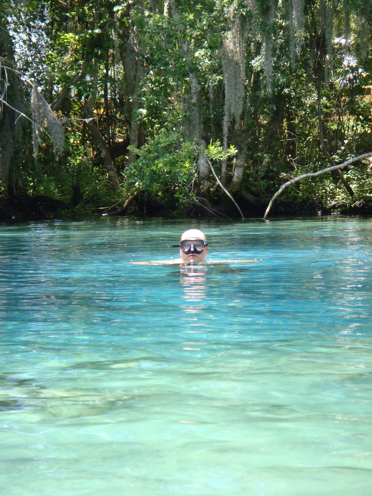 Deep Blue Voyager Air and Water Adventure Diving in Crystal River