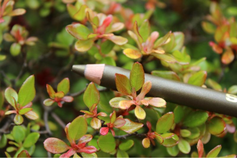 Plant Preview May 2011