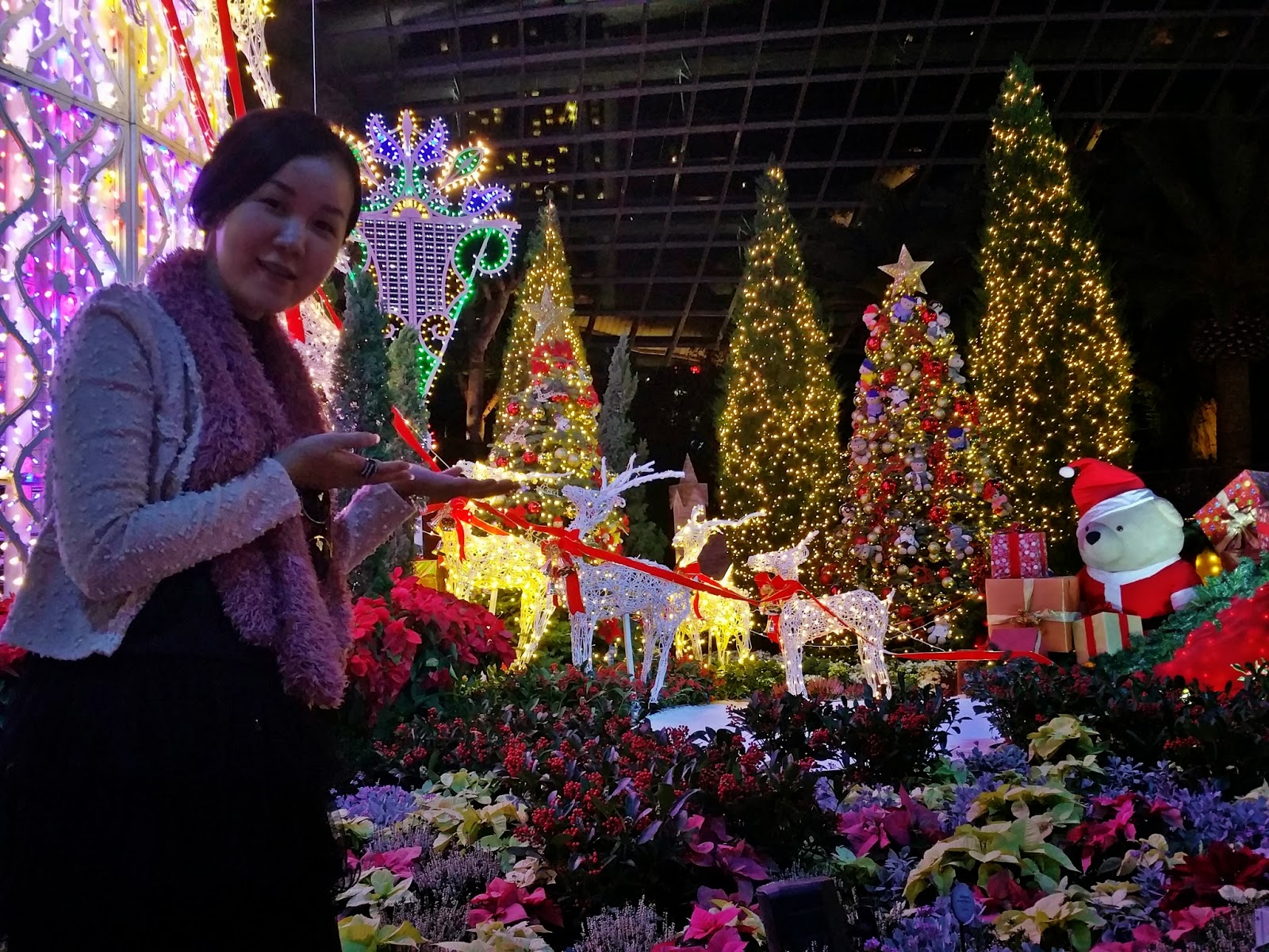 Gardens By The Bay - Night in Yuletide Flower Dome meheartseoul.blogspot.sg (Vera Lee)