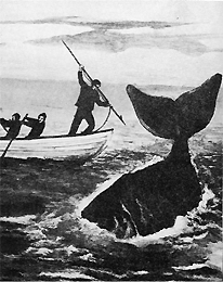 The Victorian Times Whaling Disaster of 1871