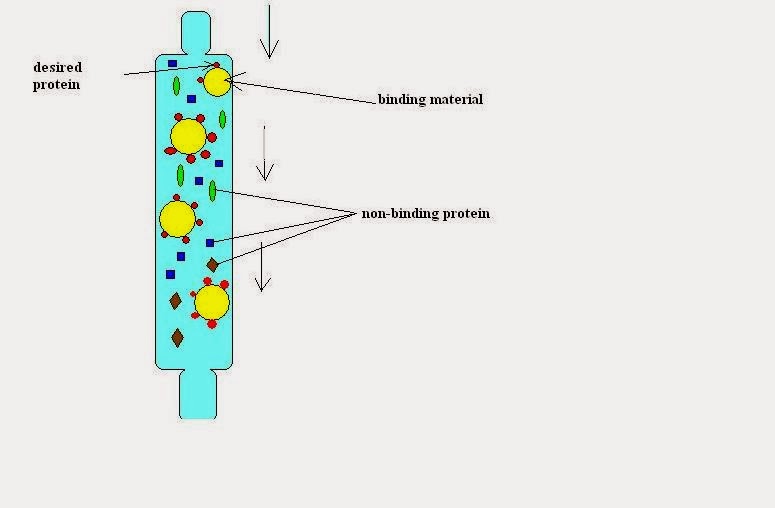 Chromatography Analytical Instruments and Pharmacy World