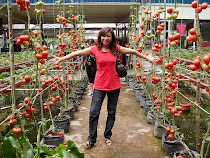 Cameron Highlands October 2009