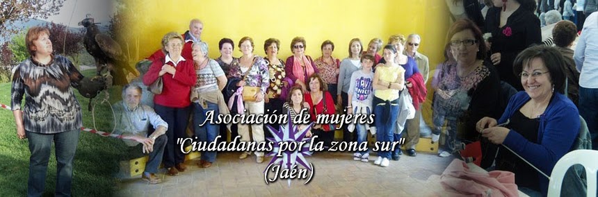 CIUDADANAS POR LA ZONA SUR (Jaen)