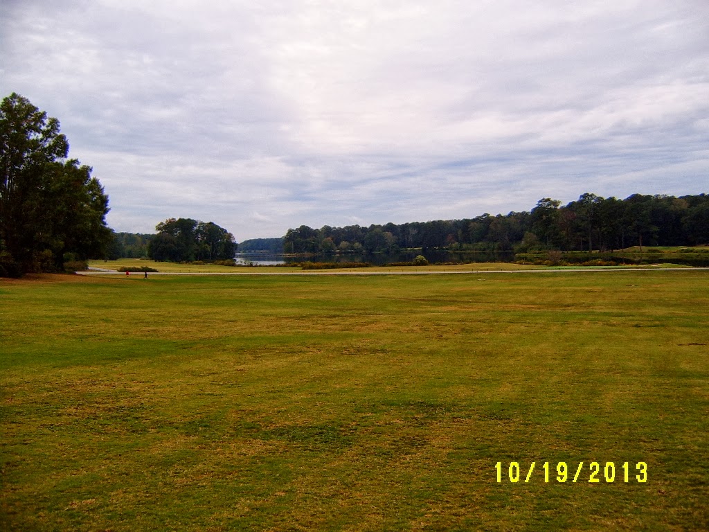 Alabama Rose And Flower Garden From A Non Green Thumb Callaway