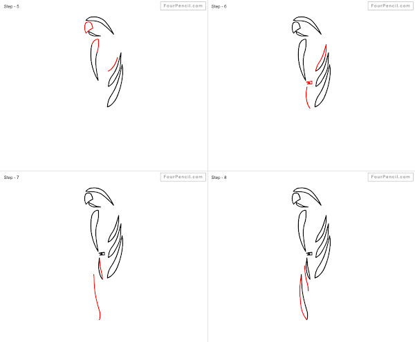 How to draw Parrot easy steps - slide 4
