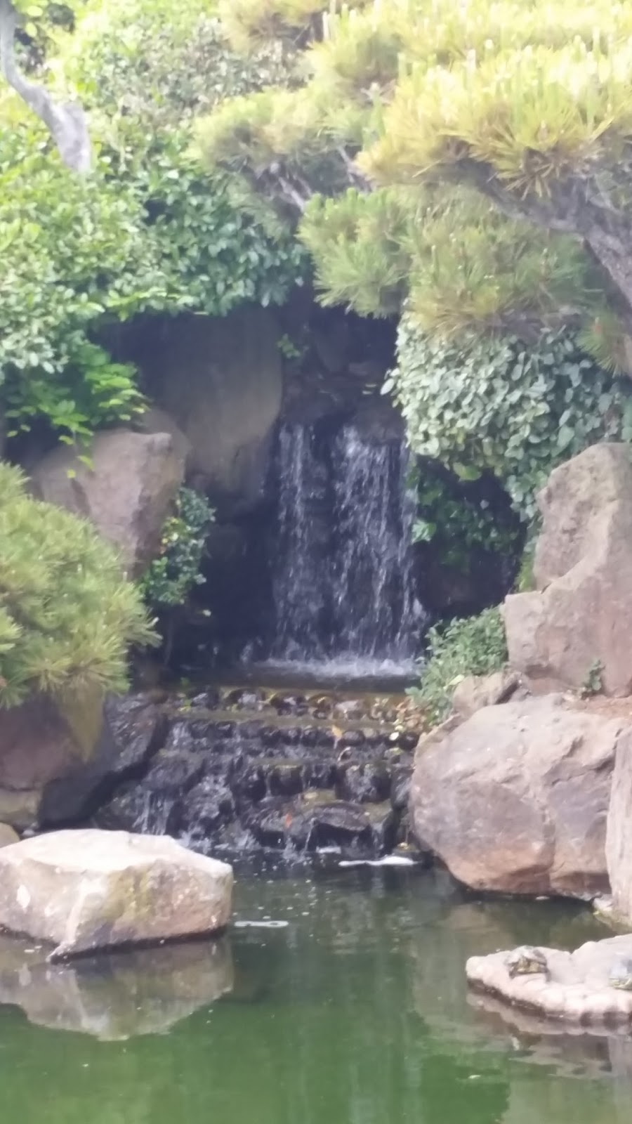 Adventures in Weseland Hayward's Japanese Garden