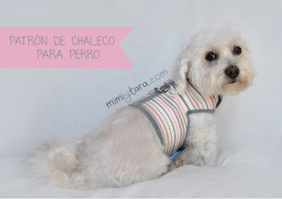 chaleco para perro