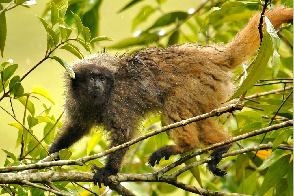 Natureza, Perfeição sem tamanho...
