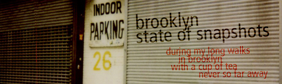 brooklyn state of snapshots