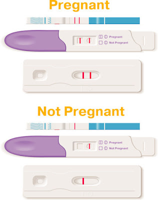Can a Pregnancy Test be wrong?