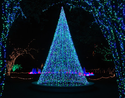 Garden Lights Holiday Nights, Atlanta Botanical Garden