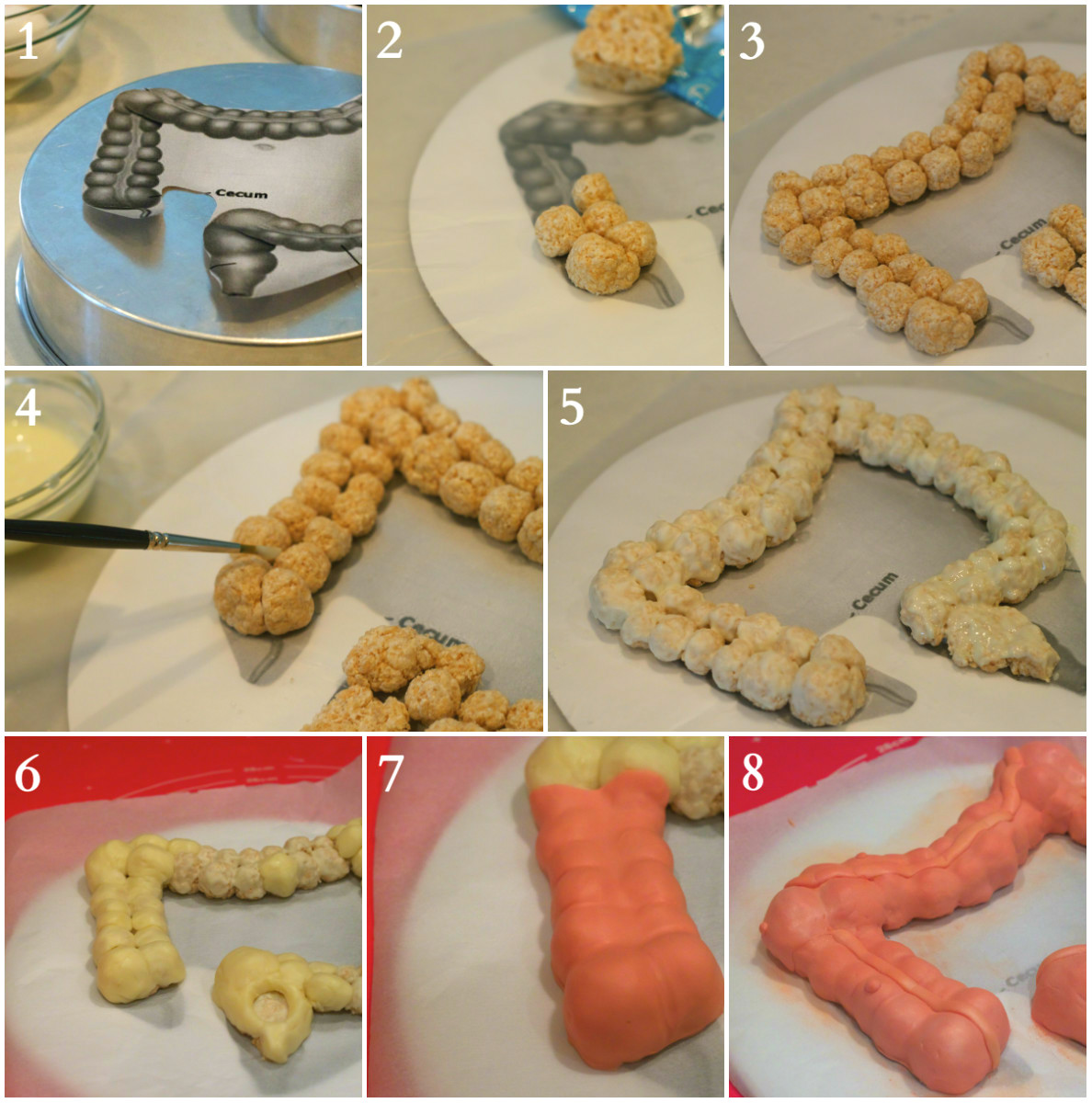 SweetD Cakes That time I made an edible colon...