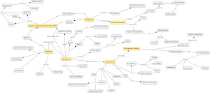 Module 1 - Visibility, Affordances, Mapping, Constraints, Conceptual models C-map