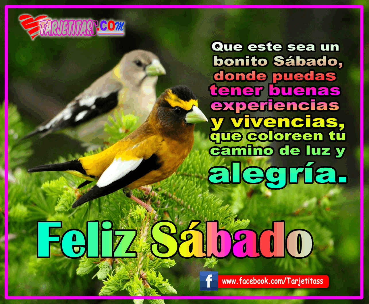 Résultat de recherche d'images pour "imagenes de feliz.sabado.animadas"