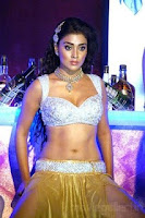 Shriya, saran, hot, cleavage, item, song, photo