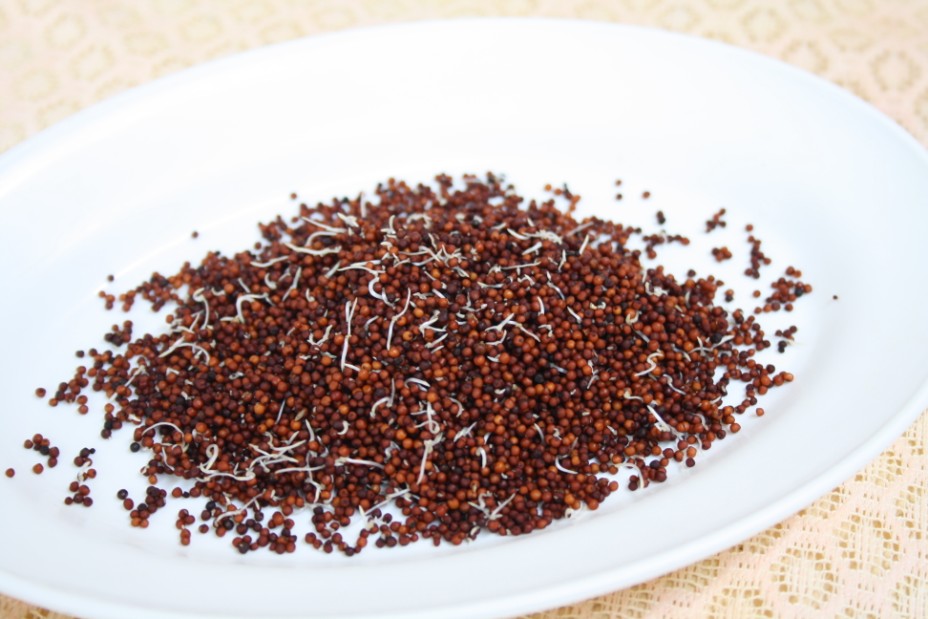 How to make Ragi Malt at Home Step By Step Recipe Diabetes Diet Food