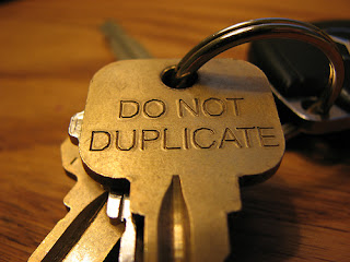 Remove Duplicates in a Vector