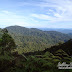 Day hike at Gunung Bunga Buah 