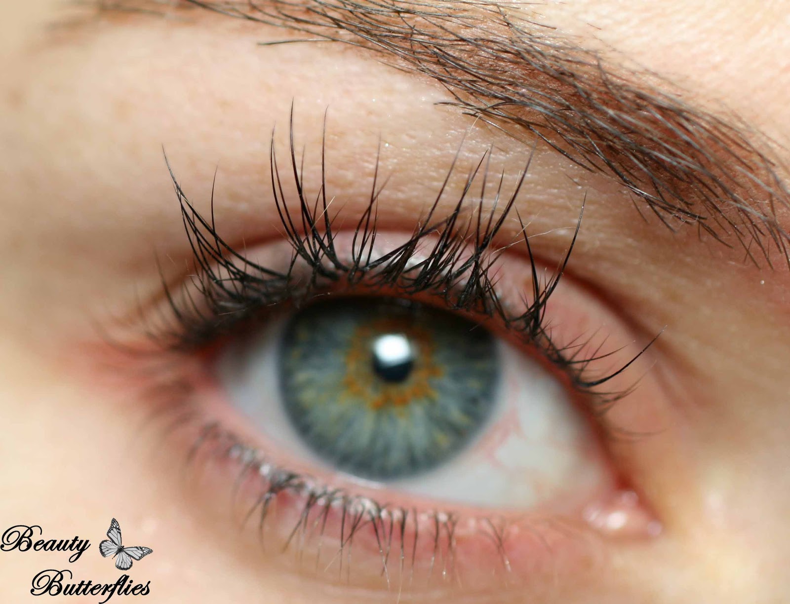 Update Luxus Lashes 5 Wochen Spater