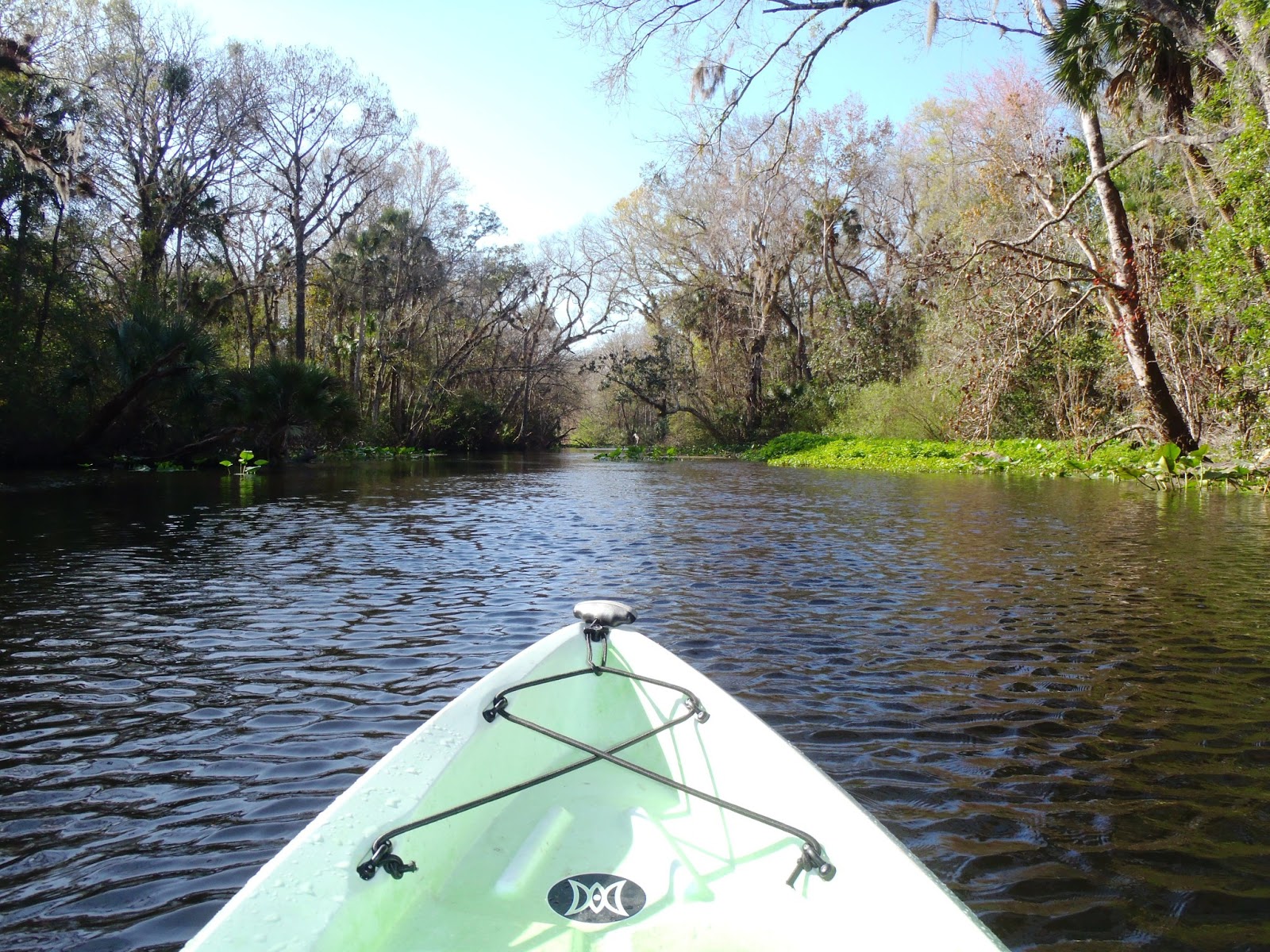 Views From Our Kayak Upper Wekiva River Out of Wilson's Landings