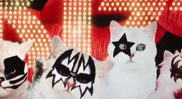 kiss cats