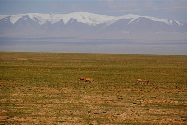 Tibet China - Beautiful Photos Seen On www.coolpicturegallery.us Tibet China - Beautiful Photos Seen On www.coolpicturegallery.us