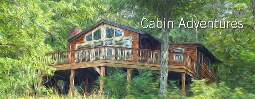 Cabin Adventures