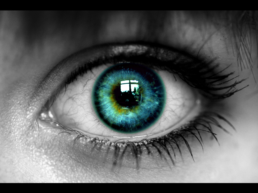 CURIOSIDADES DE LOS OJOS ~ Ittalodiso