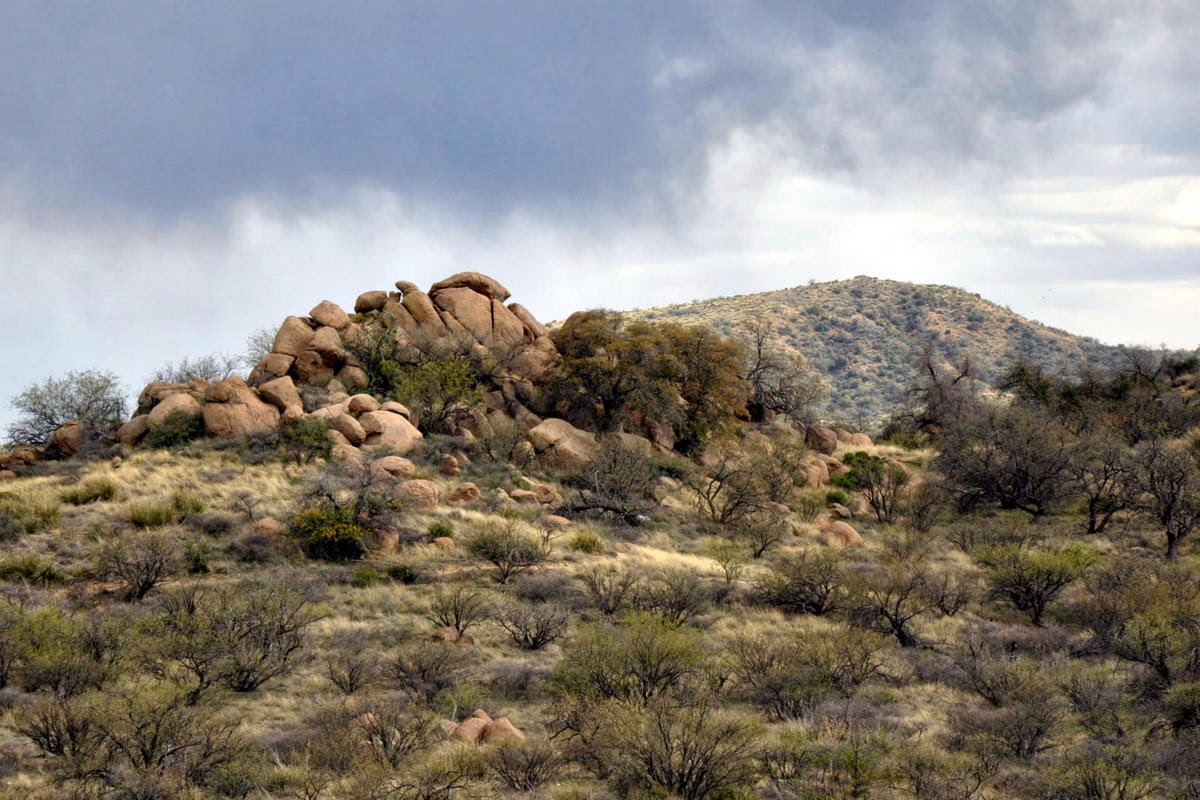Hitchin' To Go Oracle State Park, Arizona