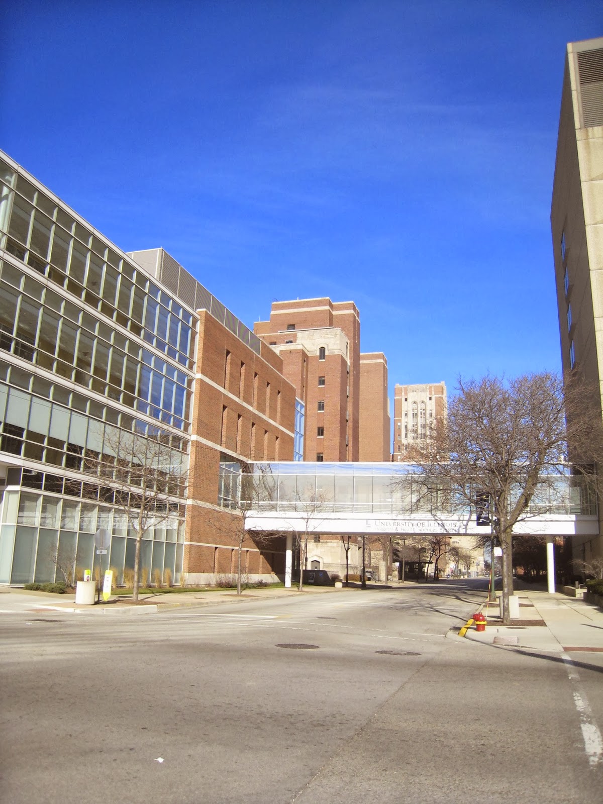 Cross Country Chronicles University of Illinois College of Medicine