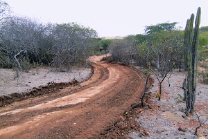 CAMINHOS