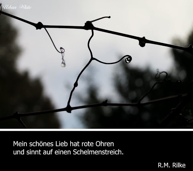 Urban White Wohnen In Weiss