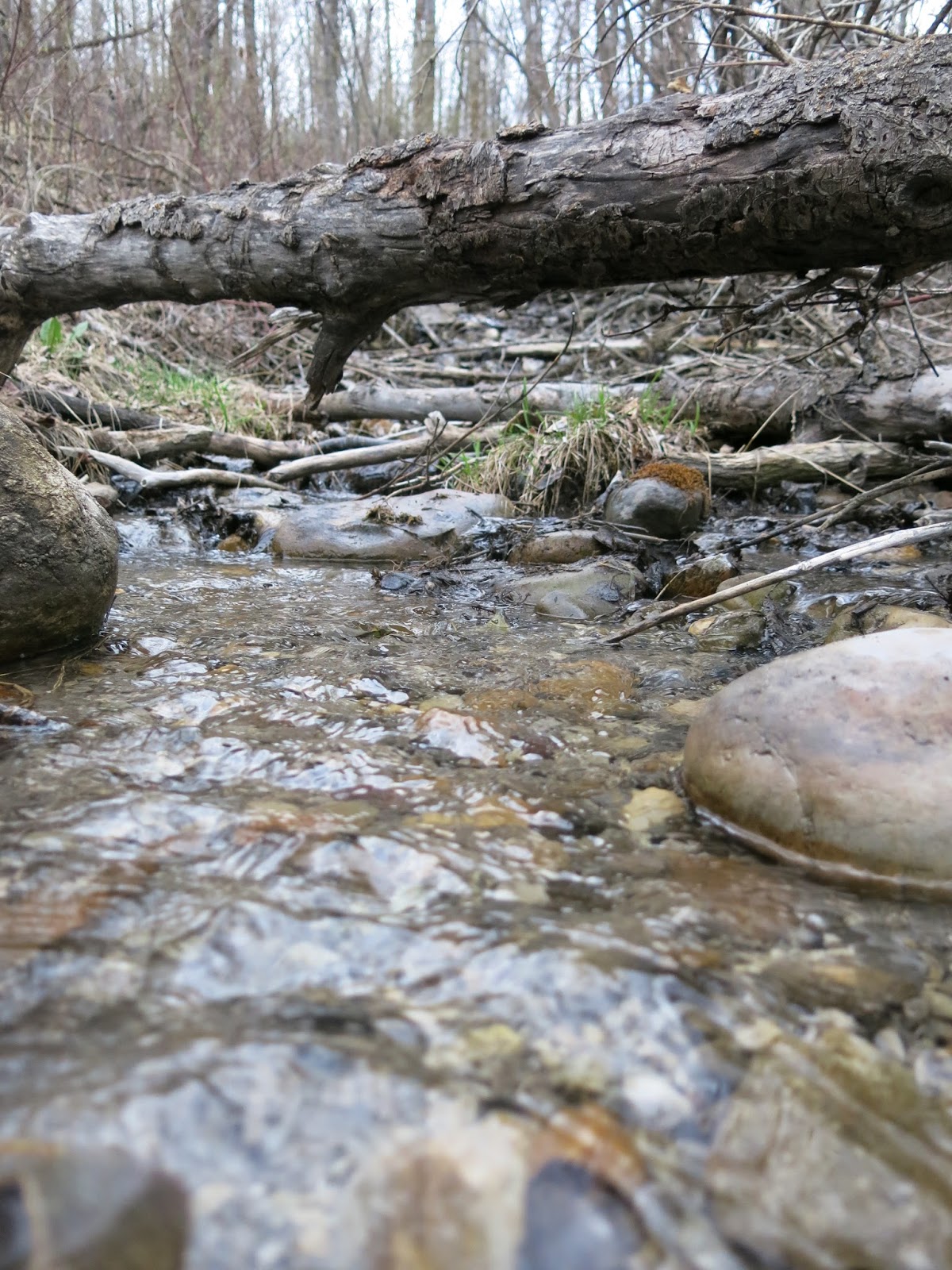 Calgary Mountain Biking Biking Paskapoo Slopes (Sarcee)