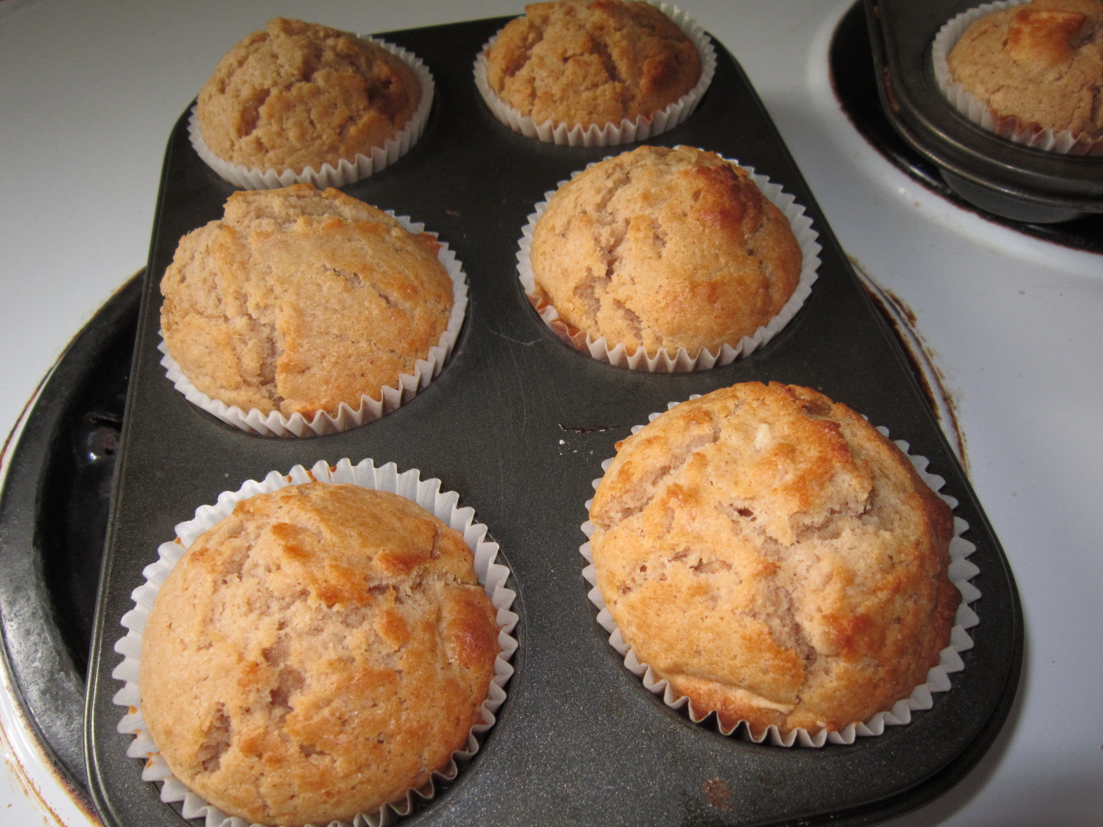 Mix It Up Apple Cinnamon Muffin Mix