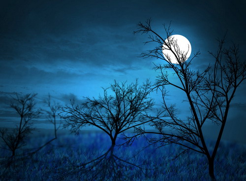 Đêm trăng 001 Họa sĩ Phạm Thanh Vân tranh phong cảnh hiện đại phong cảnh  làng