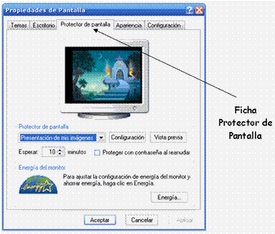PROTECTOR DE PANTALLA
