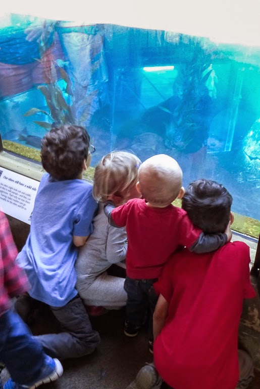 bay aquarium monterey bay