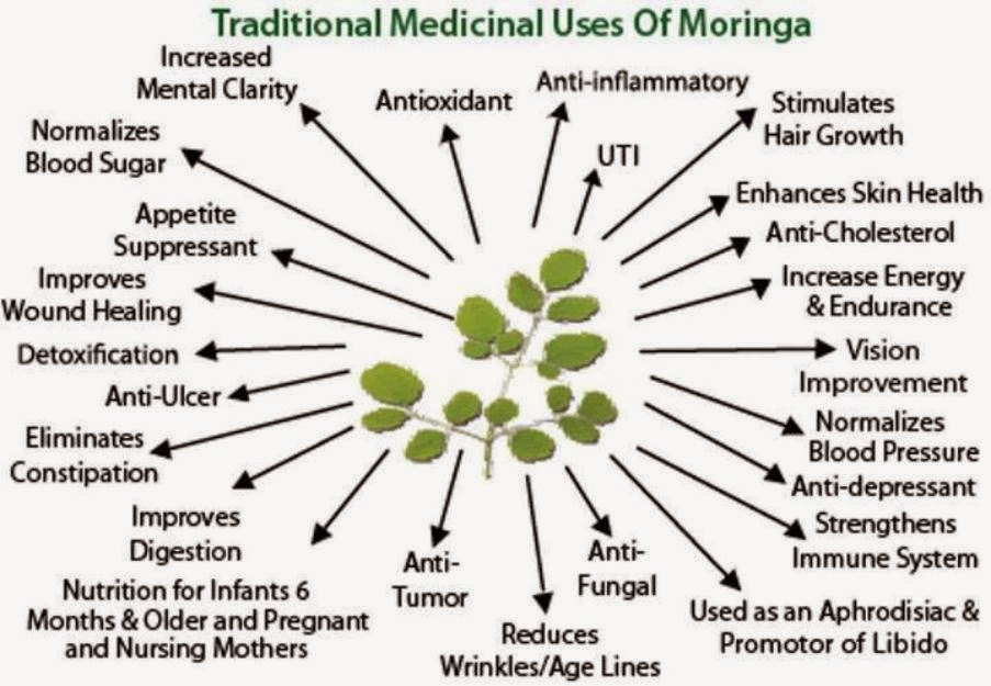 Moringa Benefits Chart