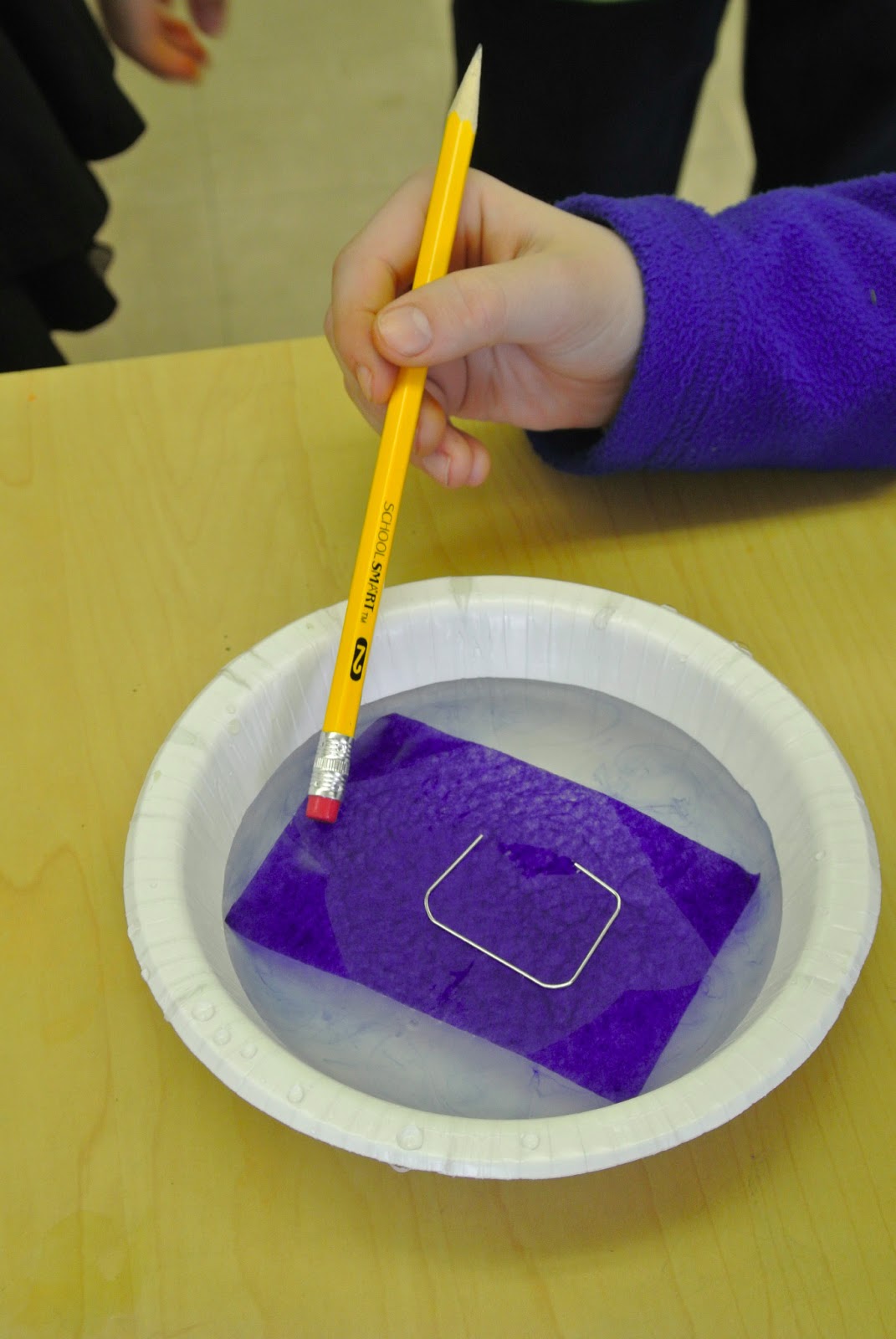 How do you make a paper clip float on water?