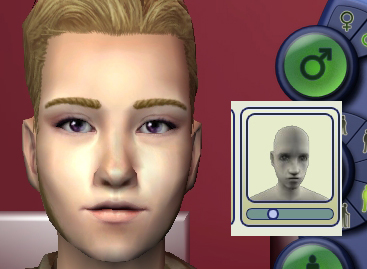 the sims 2 face replacement templates the sims 2 finds katu s sims how to make your own the sims 2 face replacement templates the sims 2 finds katu s sims how to make your own