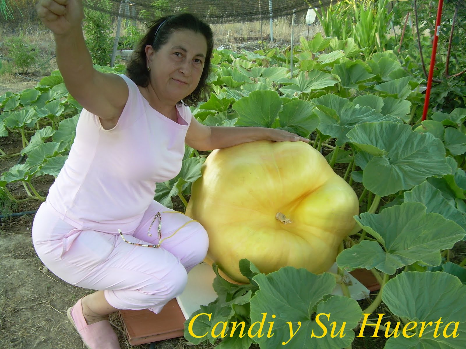 Candi y Su Huerta