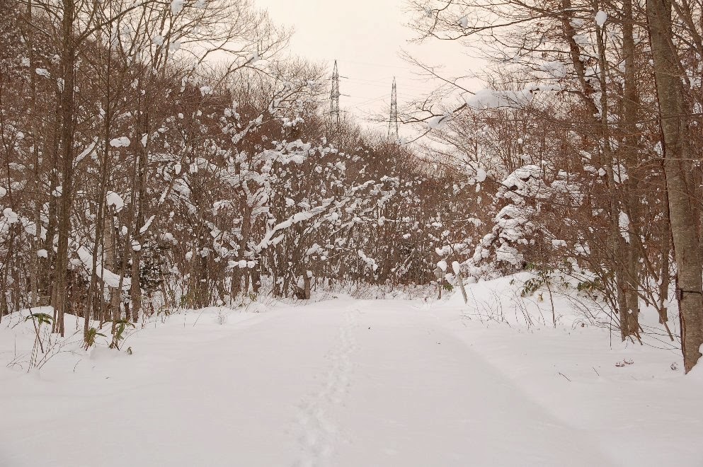 知内釣遊記 冬の渓流 北海道 Mountain Stream Of Winter Hokkaido